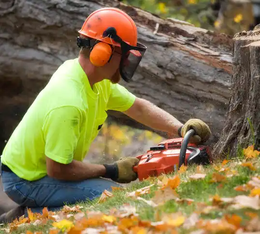 tree services Upper Brookville